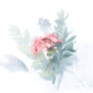 Meet your Posher, Vicky